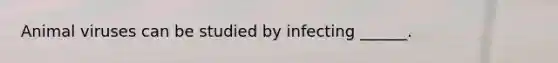 Animal viruses can be studied by infecting ______.