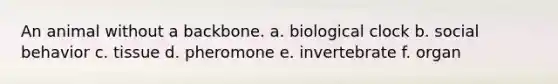 An animal without a backbone. a. biological clock b. social behavior c. tissue d. pheromone e. invertebrate f. organ