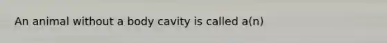 An animal without a body cavity is called a(n)