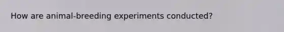 How are animal-breeding experiments conducted?