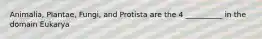 Animalia, Plantae, Fungi, and Protista are the 4 __________ in the domain Eukarya