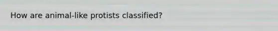 How are animal-like protists classified?