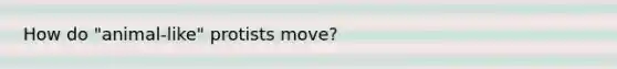 How do "animal-like" protists move?