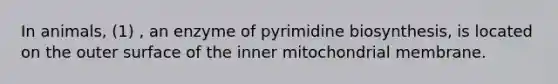 In animals, (1) , an enzyme of pyrimidine biosynthesis, is located on the outer surface of the inner mitochondrial membrane.