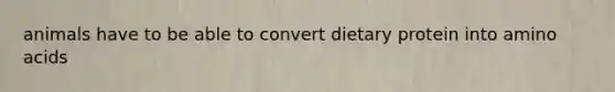 animals have to be able to convert dietary protein into amino acids