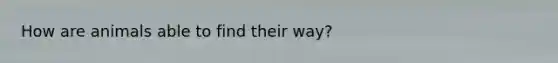 How are animals able to find their way?