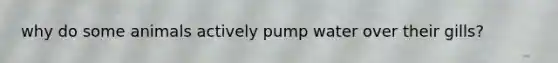 why do some animals actively pump water over their gills?
