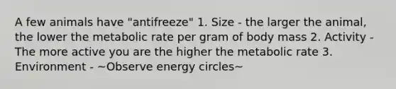 A few animals have "antifreeze" 1. Size - the larger the animal, the lower the metabolic rate per gram of body mass 2. Activity - The more active you are the higher the metabolic rate 3. Environment - ~Observe energy circles~