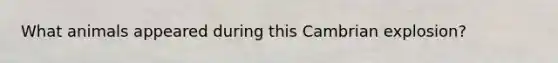 What animals appeared during this Cambrian explosion?
