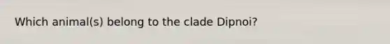 Which animal(s) belong to the clade Dipnoi?