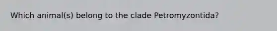 Which animal(s) belong to the clade Petromyzontida?