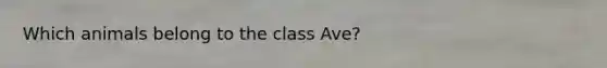 Which animals belong to the class Ave?