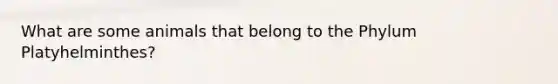 What are some animals that belong to the Phylum Platyhelminthes?