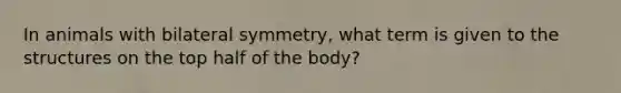 In animals with bilateral symmetry, what term is given to the structures on the top half of the body?