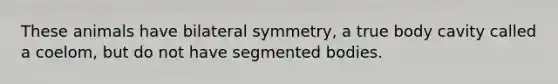 These animals have bilateral symmetry, a true body cavity called a coelom, but do not have segmented bodies.