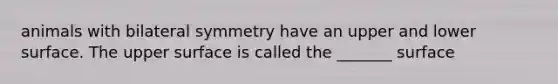 animals with bilateral symmetry have an upper and lower surface. The upper surface is called the _______ surface