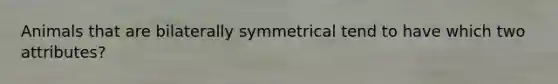 Animals that are bilaterally symmetrical tend to have which two attributes?