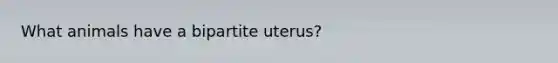 What animals have a bipartite uterus?