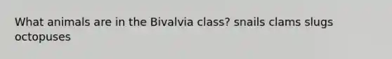 What animals are in the Bivalvia class? snails clams slugs octopuses