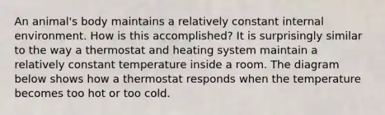 An animal's body maintains a relatively constant internal environment. How is this accomplished? It is surprisingly similar to the way a thermostat and heating system maintain a relatively constant temperature inside a room. The diagram below shows how a thermostat responds when the temperature becomes too hot or too cold.