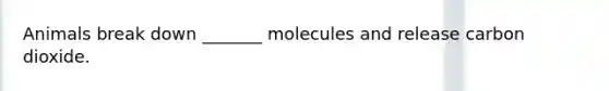 Animals break down _______ molecules and release carbon dioxide.