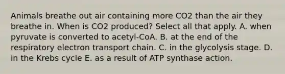 Animals breathe out air containing more CO2 than the air they breathe in. When is CO2 produced? Select all that apply. A. when pyruvate is converted to acetyl-CoA. B. at the end of the respiratory electron transport chain. C. in the glycolysis stage. D. in the Krebs cycle E. as a result of ATP synthase action.