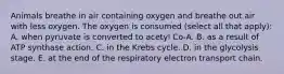 Animals breathe in air containing oxygen and breathe out air with less oxygen. The oxygen is consumed (select all that apply): A. when pyruvate is converted to acetyl Co-A. B. as a result of ATP synthase action. C. in the Krebs cycle. D. in the glycolysis stage. E. at the end of the respiratory electron transport chain.