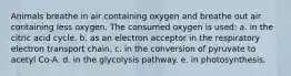 Animals breathe in air containing oxygen and breathe out air containing less oxygen. The consumed oxygen is used: a. in the citric acid cycle. b. as an electron acceptor in the respiratory electron transport chain. c. in the conversion of pyruvate to acetyl Co-A. d. in the glycolysis pathway. e. in photosynthesis.