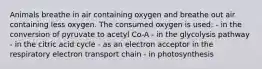 Animals breathe in air containing oxygen and breathe out air containing less oxygen. The consumed oxygen is used: - in the conversion of pyruvate to acetyl Co-A - in the glycolysis pathway - in the citric acid cycle - as an electron acceptor in the respiratory electron transport chain - in photosynthesis