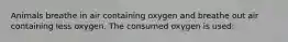 Animals breathe in air containing oxygen and breathe out air containing less oxygen. The consumed oxygen is used: