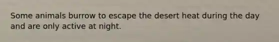 Some animals burrow to escape the desert heat during the day and are only active at night.