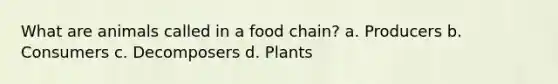 What are animals called in a food chain? a. Producers b. Consumers c. Decomposers d. Plants