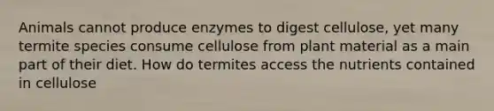 Animals cannot produce enzymes to digest cellulose, yet many termite species consume cellulose from plant material as a main part of their diet. How do termites access the nutrients contained in cellulose