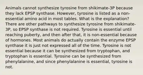 Animals cannot synthesize tyrosine from shikimate-3P because they lack EPSP synthase. However, tyrosine is listed as a non-essential amino acid in most tables. What is the explanation? There are other pathways to synthesize tyrosine from shikimate-3P, so EPSP synthase is not required. Tyrosine is essential until reaching puberty, and then after that, it is non-essential because of hormones. Most animals do actually contain the enzyme EPSP synthase it is just not expressed all of the time. Tyrosine is not essential because it can be synthesized from tryptophan, and tryptophan is essential. Tyrosine can be synthesized from phenylalanine, and since phenylalanine is essential, tyrosine is not.