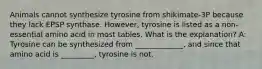 Animals cannot synthesize tyrosine from shikimate-3P because they lack EPSP synthase. However, tyrosine is listed as a non-essential amino acid in most tables. What is the explanation? A: Tyrosine can be synthesized from _____________, and since that amino acid is _________, tyrosine is not.