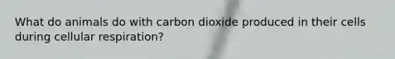 What do animals do with carbon dioxide produced in their cells during cellular respiration?