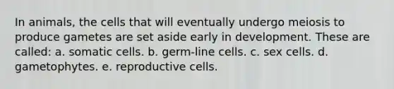 In animals, the cells that will eventually undergo meiosis to produce gametes are set aside early in development. These are called: a. somatic cells. b. germ-line cells. c. sex cells. d. gametophytes. e. reproductive cells.