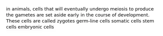 in animals, cells that will eventually undergo meiosis to produce the gametes are set aside early in the course of development. These cells are called zygotes germ-line cells somatic cells stem cells embryonic cells