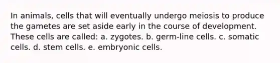 In animals, cells that will eventually undergo meiosis to produce the gametes are set aside early in the course of development. These cells are called: a. zygotes. b. germ-line cells. c. somatic cells. d. stem cells. e. embryonic cells.