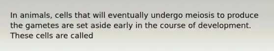 In animals, cells that will eventually undergo meiosis to produce the gametes are set aside early in the course of development. These cells are called