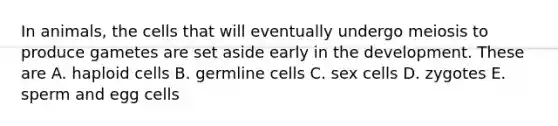 In animals, the cells that will eventually undergo meiosis to produce gametes are set aside early in the development. These are A. haploid cells B. germline cells C. sex cells D. zygotes E. sperm and egg cells