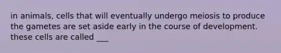 in animals, cells that will eventually undergo meiosis to produce the gametes are set aside early in the course of development. these cells are called ___