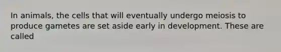 In animals, the cells that will eventually undergo meiosis to produce gametes are set aside early in development. These are called