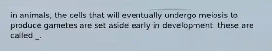 in animals, the cells that will eventually undergo meiosis to produce gametes are set aside early in development. these are called _.