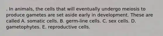 . In animals, the cells that will eventually undergo meiosis to produce gametes are set aside early in development. These are called A. somatic cells. B. germ-line cells. C. sex cells. D. gametophytes. E. reproductive cells.