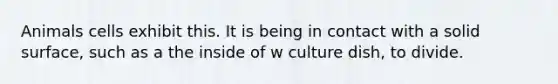 Animals cells exhibit this. It is being in contact with a solid surface, such as a the inside of w culture dish, to divide.