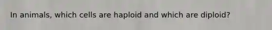 In animals, which cells are haploid and which are diploid?