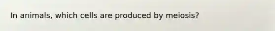 In animals, which cells are produced by meiosis?