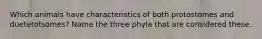 Which animals have characteristics of both protostomes and dueterotsomes? Name the three phyla that are considered these.