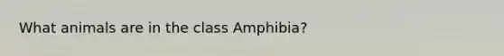 What animals are in the class Amphibia?